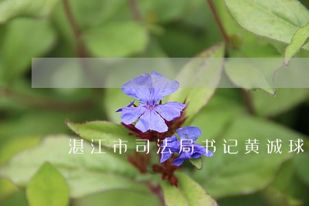 湛江市司法局书记黄诚球 湛江市司法局书记黄诚球