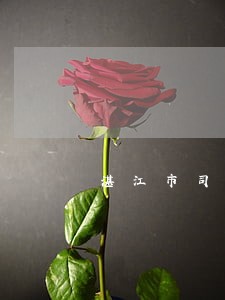 湛江市司法局有司法辅助人员吗
