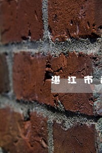 湛江市司法局长黄平简历 湛江市司法局长黄平简历