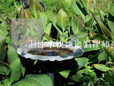 湛江市快速离婚律师咨询 湛江市快速离婚律师咨询