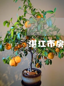 湛江市房地产律师费用 湛江市房地产律师费用