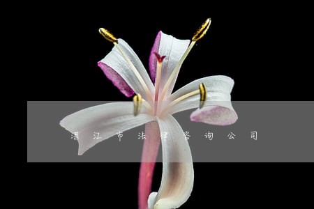 湛江市法律咨询公司 湛江市法律咨询公司