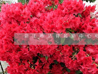 湛江市法律援助中心电话 湛江市法律援助中心电话