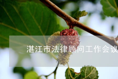 湛江市法律顾问工作会议 湛江市法律顾问工作会议