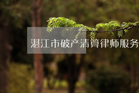 湛江市破产清算律师服务 湛江市破产清算律师服务
