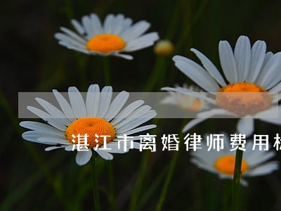 湛江市离婚律师费用标准 湛江市离婚律师费用标准