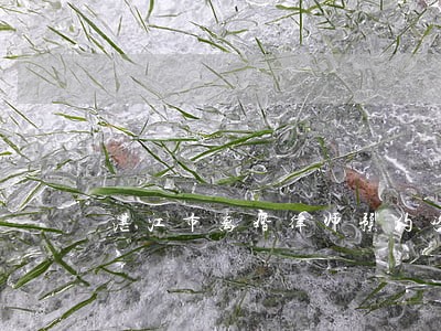 湛江市离婚律师预约咨询 湛江市离婚律师预约咨询