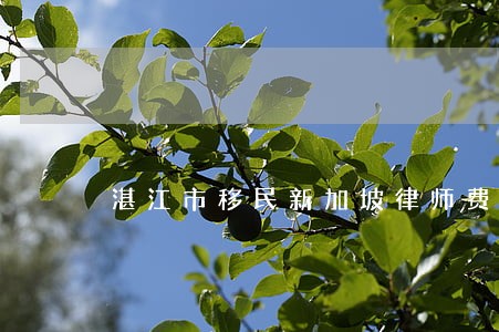 湛江市移民新加坡律师费用 湛江市移民新加坡律师费用