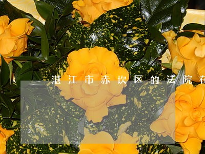 湛江市赤坎区的法院在哪里 湛江市赤坎区的法院在哪里