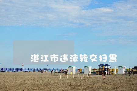 湛江市违法转交扫黑 湛江市违法转交扫黑
