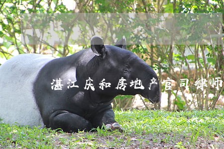 湛江庆和房地产官司律师 湛江庆和房地产官司律师