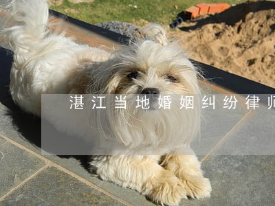 湛江当地婚姻纠纷律师 湛江当地婚姻纠纷律师