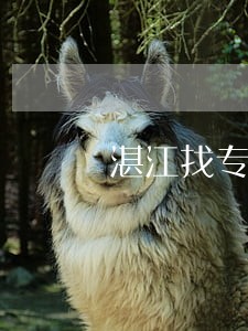 湛江找专业的离婚房产律师 湛江找专业的离婚房产律师