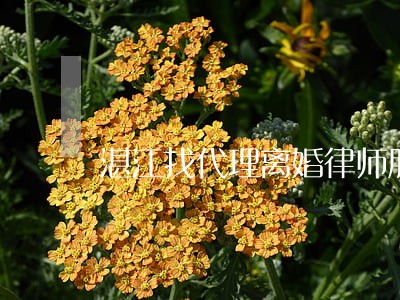 湛江找代理离婚律师服务 湛江找代理离婚律师服务