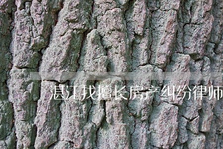 湛江找擅长房产纠纷律师