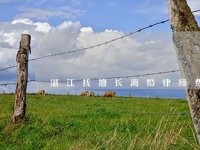 湛江找擅长离婚律师费用 湛江找擅长离婚律师费用