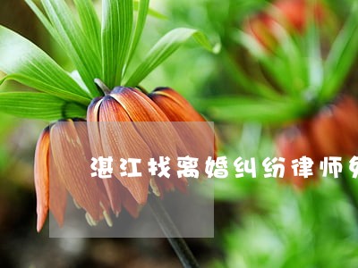 湛江找离婚纠纷律师免费咨询电话 湛江找离婚纠纷律师免费咨询电话