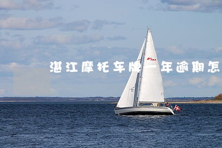 湛江摩托车牌一年逾期怎么处理 湛江摩托车牌一年逾期怎么处理