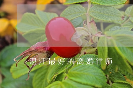 湛江最好的离婚律师 湛江最好的离婚律师