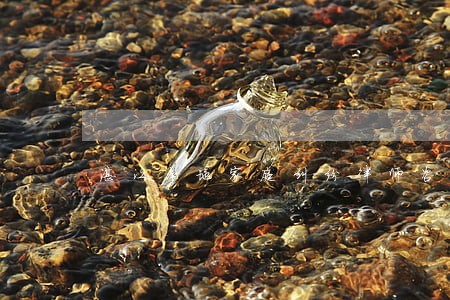 湛江本地家庭纠纷律师咨询热线 湛江本地家庭纠纷律师咨询热线