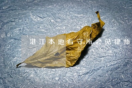 湛江本地看守所会见律师怎么委托 湛江本地看守所会见律师怎么委托