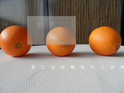 湛江法院被执行人名单