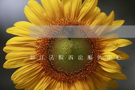 湛江法院诉讼服务中心 湛江法院诉讼服务中心