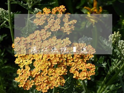 湛江法院遴选