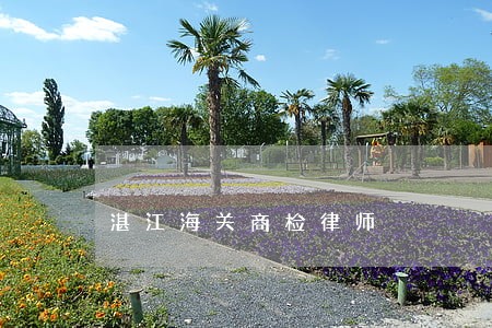 湛江海关商检律师 湛江海关商检律师