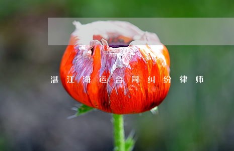 湛江海运合同纠纷律师 湛江海运合同纠纷律师