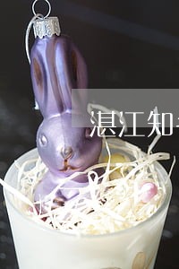 湛江知名房地产律师推荐 湛江知名房地产律师推荐