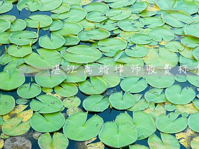 湛江离婚律师收费标准 湛江离婚律师收费标准