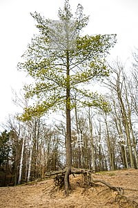 湛江网贷逾期56天 湛江网贷逾期56天