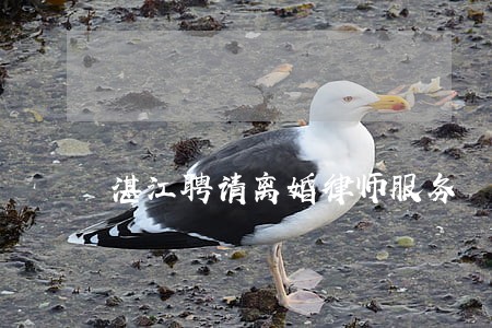 湛江聘请离婚律师服务 湛江聘请离婚律师服务