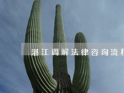 湛江调解法律咨询流程 湛江调解法律咨询流程
