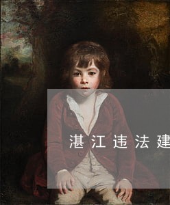 湛江违法建墓地