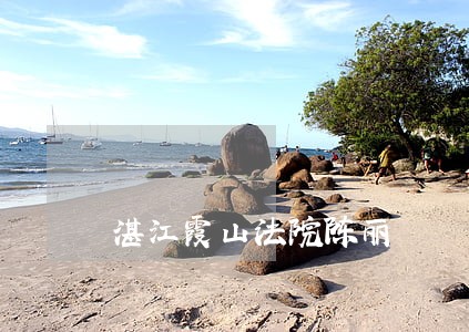 湛江霞山法院陈丽 湛江霞山法院陈丽