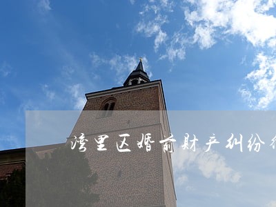 湾里区婚前财产纠纷律师 湾里区婚前财产纠纷律师