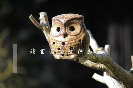 湾里区法院但志丽 湾里区法院但志丽