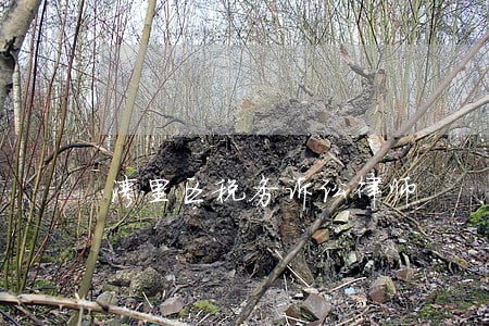 湾里区税务诉讼律师 湾里区税务诉讼律师