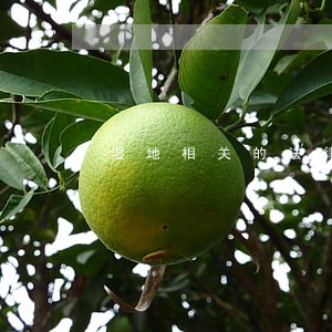 湿地相关的法律法规 湿地相关的法律法规