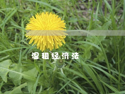 湿租经济法 湿租经济法
