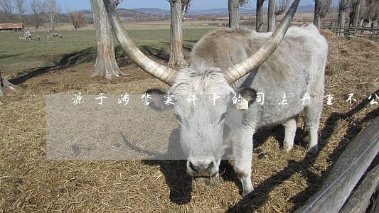 源于涉警案件中的司法严重不公 源于涉警案件中的司法严重不公