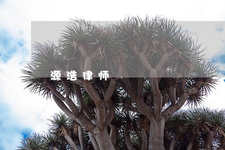 源浩律师 源浩律师