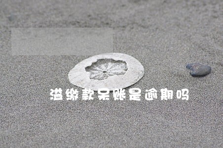 溢缴款呆账是逾期吗 溢缴款呆账是逾期吗