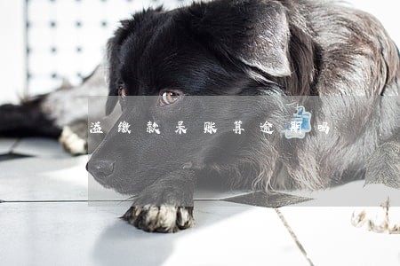 溢缴款呆账算逾期吗 溢缴款呆账算逾期吗