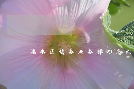 溧水区债务业务律师怎么收费 溧水区债务业务律师怎么收费