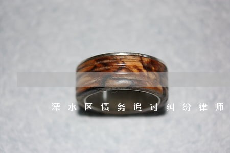 溧水区债务追讨纠纷律师介绍 溧水区债务追讨纠纷律师介绍