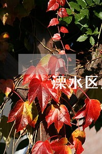 溧水区房产律师收费咨询 溧水区房产律师收费咨询