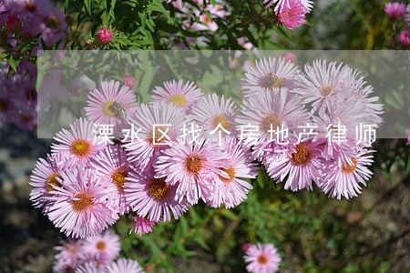 溧水区找个房地产律师 溧水区找个房地产律师
